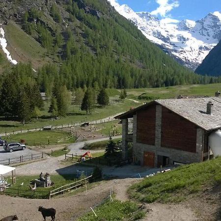 La Ferme Du Grand Paradis Cogne Εξωτερικό φωτογραφία