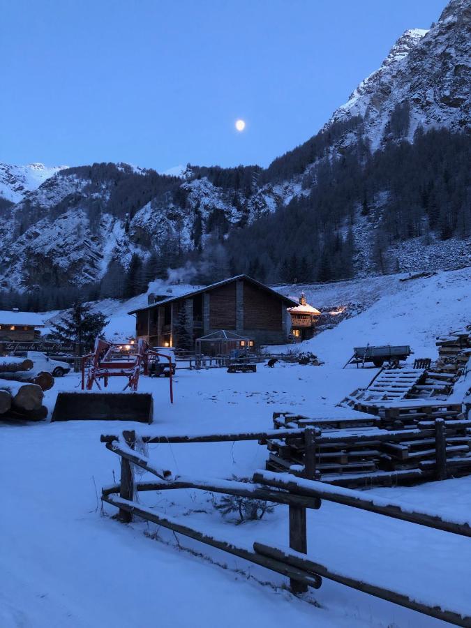 La Ferme Du Grand Paradis Cogne Εξωτερικό φωτογραφία